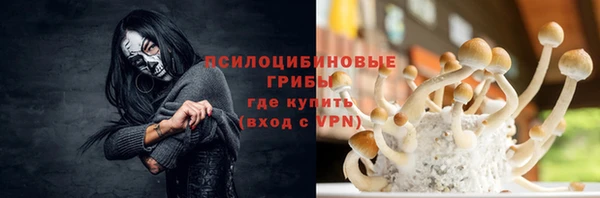 скорость mdpv Новодвинск