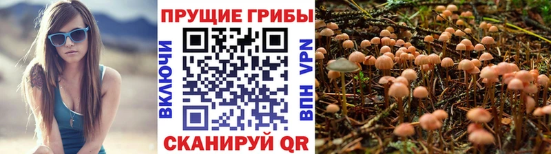 Псилоцибиновые грибы ЛСД  Суздаль 